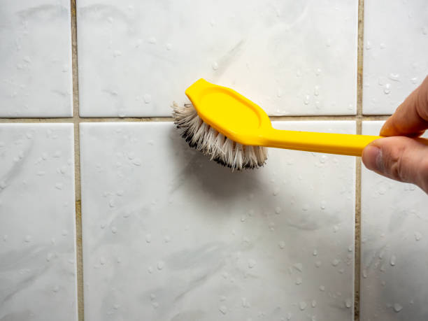Best Attic Mold Removal  in Anton, TX