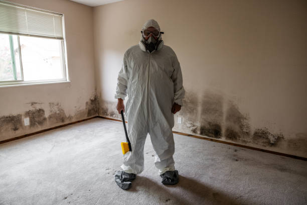 Best Mold Cleaning Services  in Anton, TX